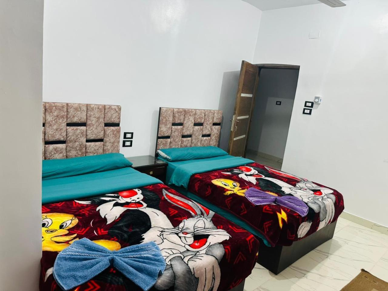 Mostafa Jamaica Guesthouse Aswan Bilik gambar